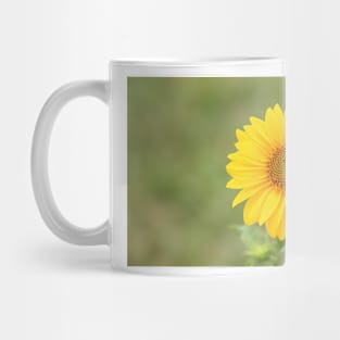 Sunflower, nature photography, single flower Mug